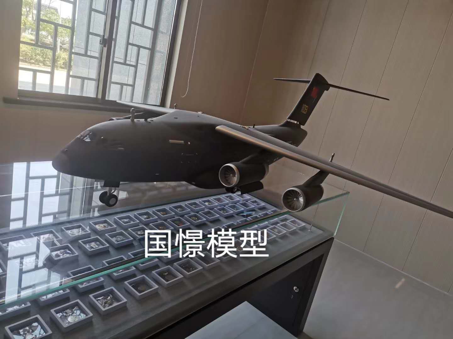 忠县飞机模型